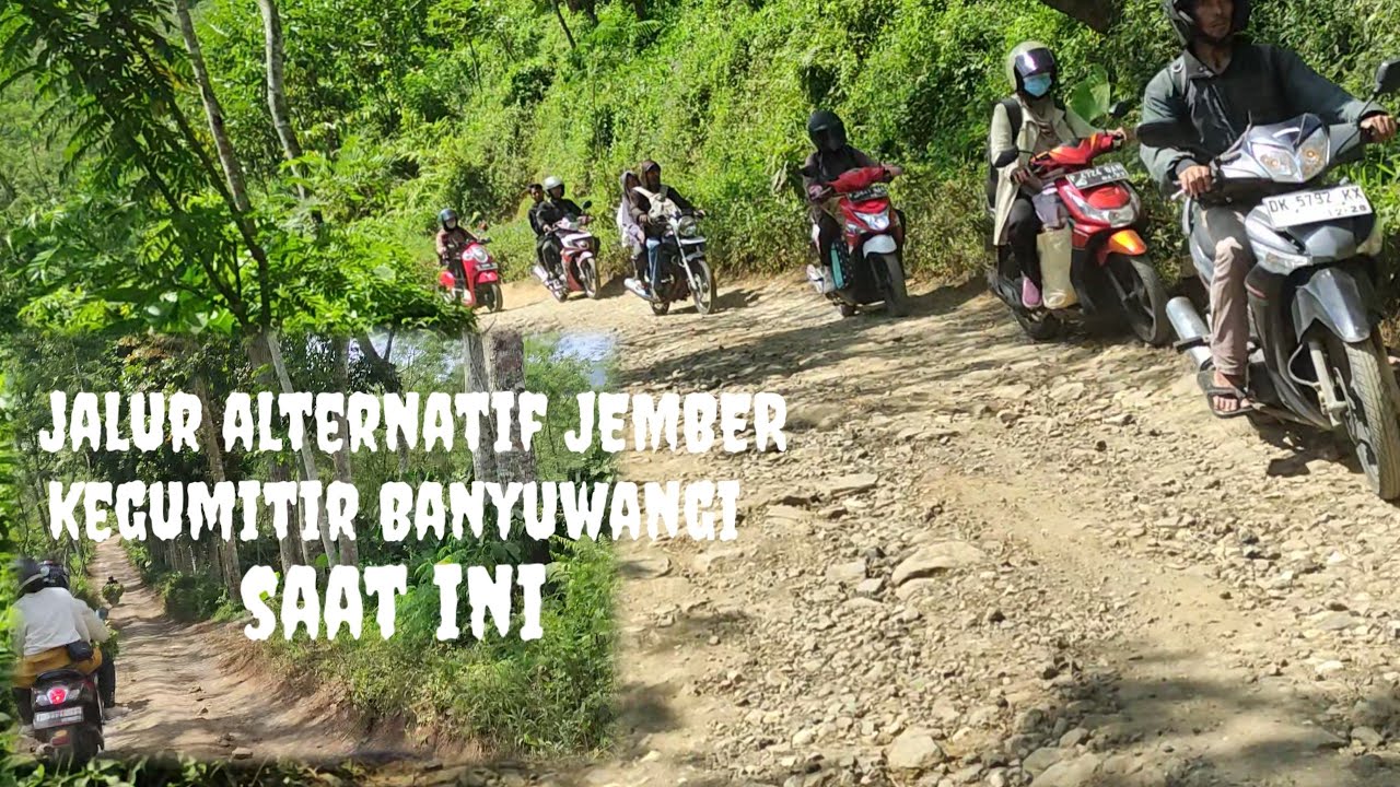 jalur alternatif Jember kegumitir Banyuwangi saat ini