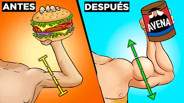 ¿Qué alimentos aumentan la masa muscular más rápidamente?