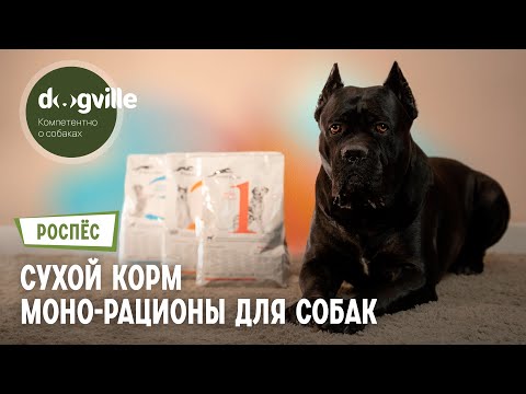 Монодиеты «РосПёс» для собак — отзыв на сухие корма