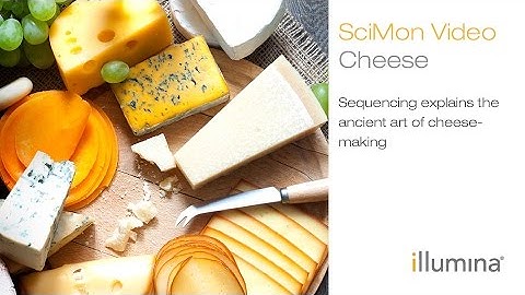 Cheese Making: Ancient Art or the Simplicity of Science| Illumina SciMon Video