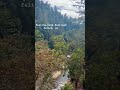 Roaring Camp Railroad takes you along the Santa Cruz Mountains! #santacruz #roaringcamp #feltonca