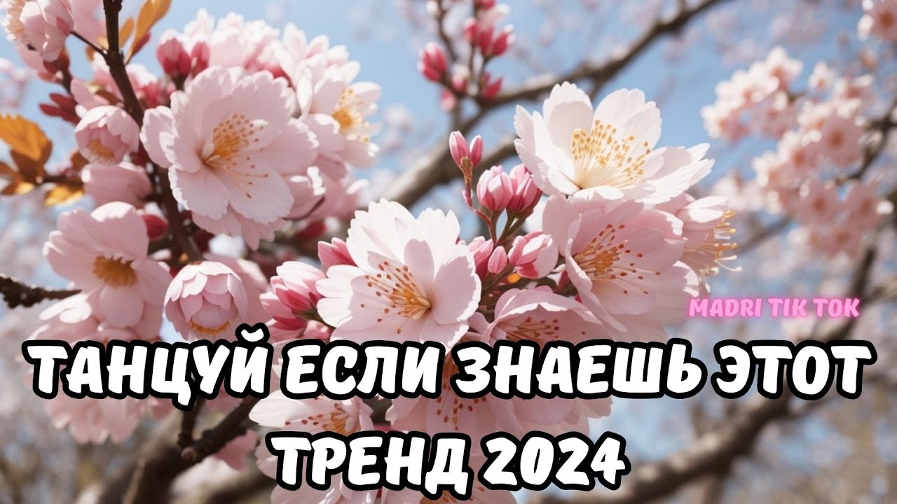 Видео песня тренд 2024 года. Видео песня тренд 2024 года. Видео песня тренд 2024 года. Видео песня тренд 2024 года. Видео песня тренд 2024 года.