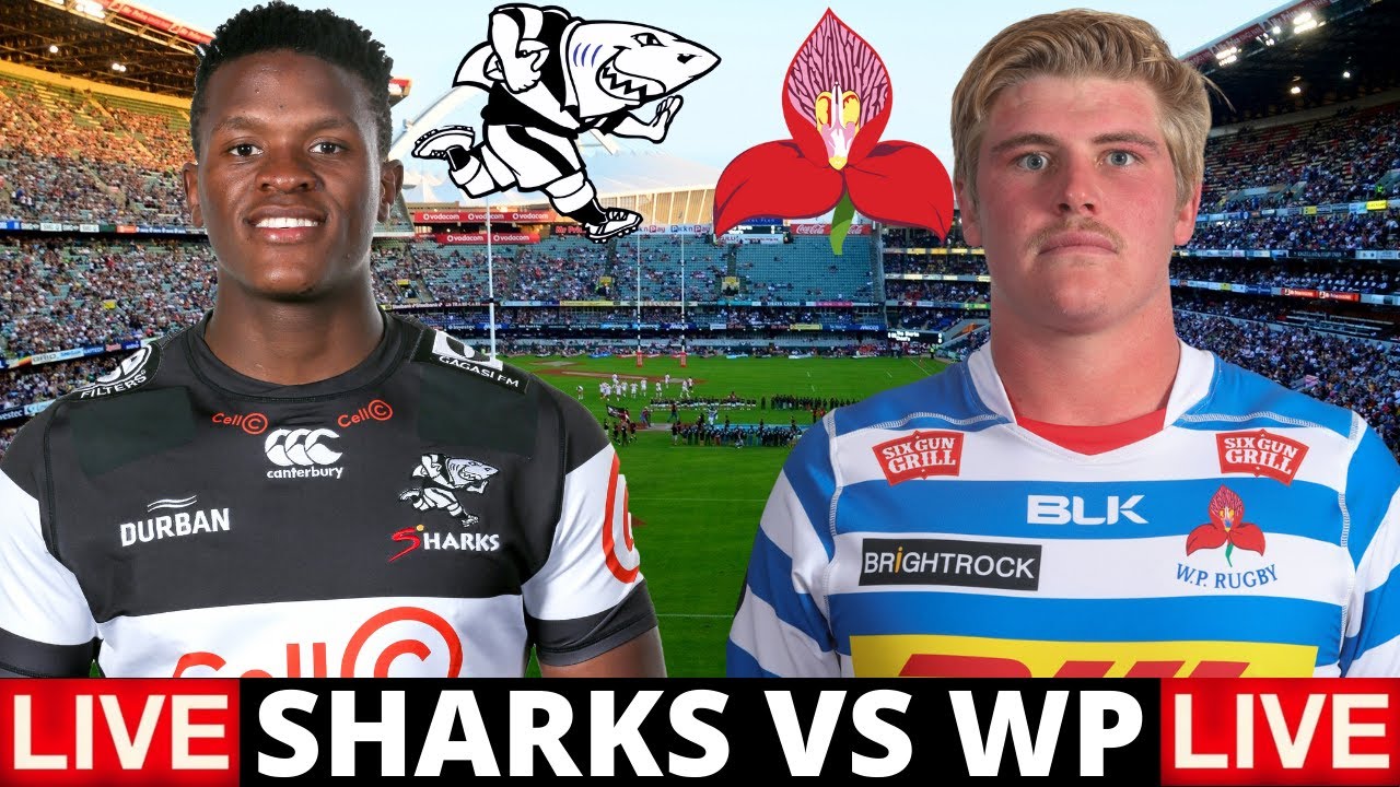 Sharks vs Western Province Live Stream Carling Currie Cup 2021