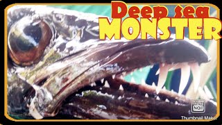 Part 1| Night jigging| Deep Sea Fish| Tahiti Pacific island