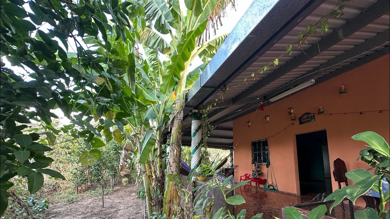 Santa Clara San Vicente casa con árboles y terreno $85,000.00 [NO DISPONIBLE]