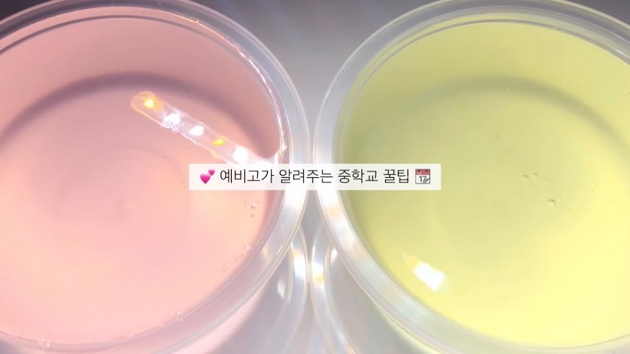 💕 예비 고등학생이 알려주는 중학교 꿀팁 📆 / 시리즈 / 액괴 / 소규모 시리즈 / 고딕 시리즈 / 시액 / 액시 / 영희 시리즈 / 🐯