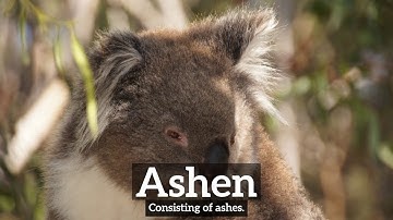 How to Say Ashen in English? | How Does Ashen Look? | What is Ashen?