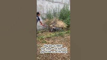 Máy cắt cỏ trục băm chuyên nghiệp chạy động cơ xăng 7.0HP  #automobile #maynghiencam #farming