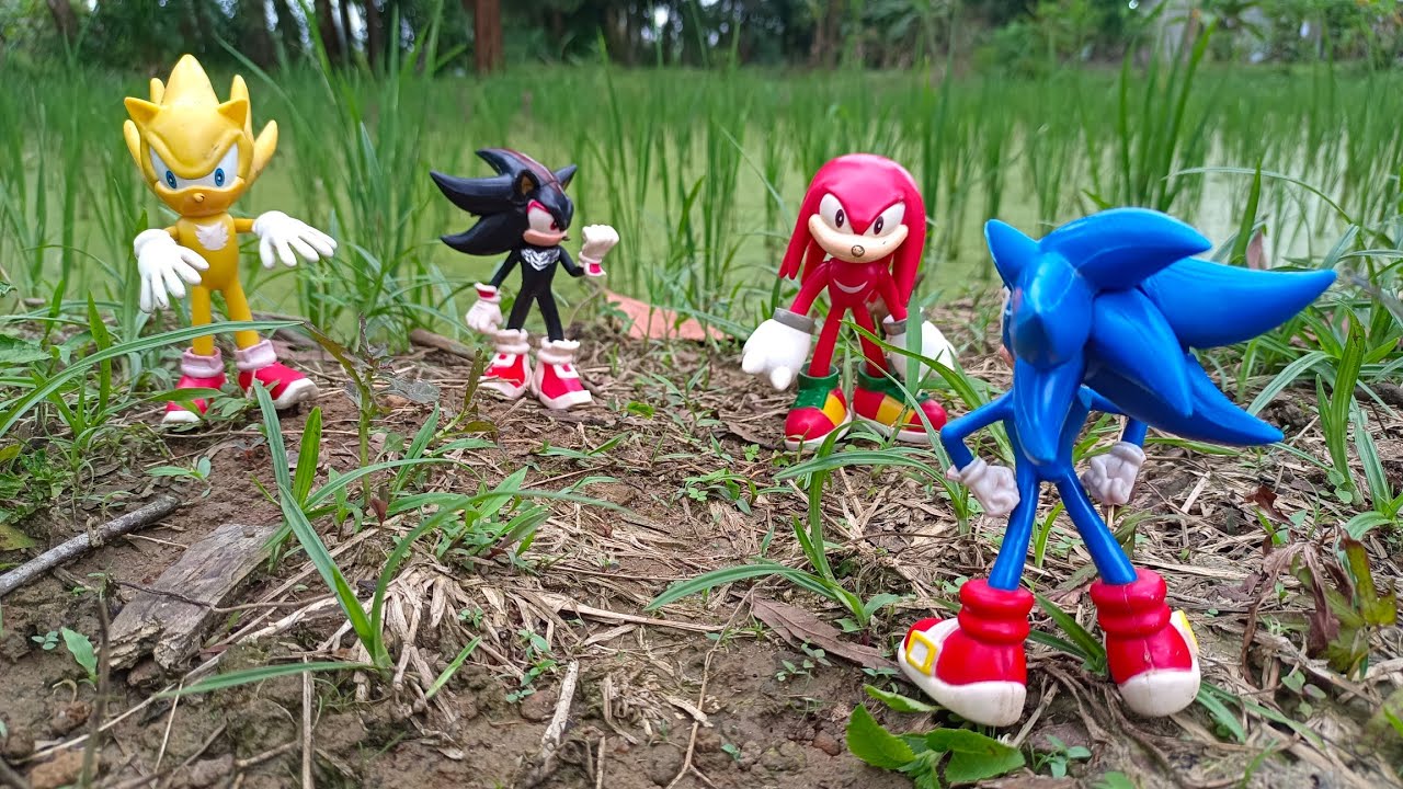 Sonic and Friend/Sonic Silver/Warehog/Metal Sonic/Knuckles/Sonic Hedgehog/Super Shadow/Tails/Eggman