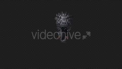 Cape Porcupine Attack Pack 02 4 In 1 | Motion Graphics - Envato elements