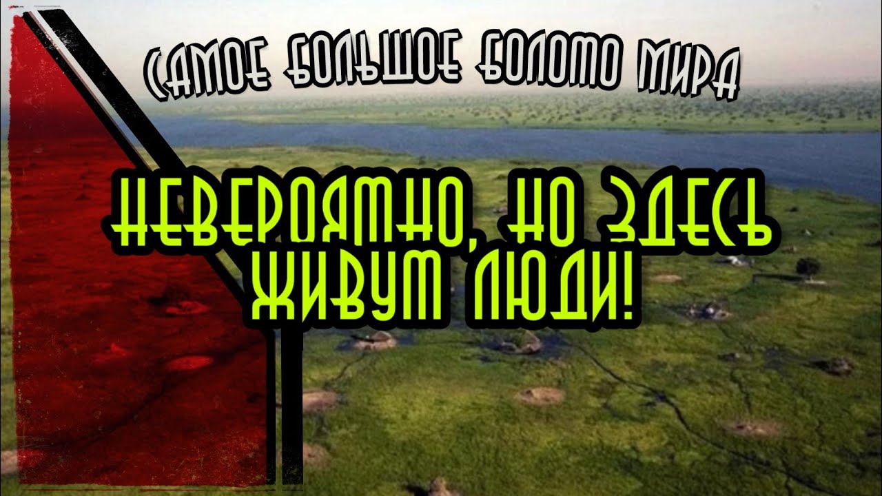 Самое большое болото Мира. Болота Судд. Судан - YouTube