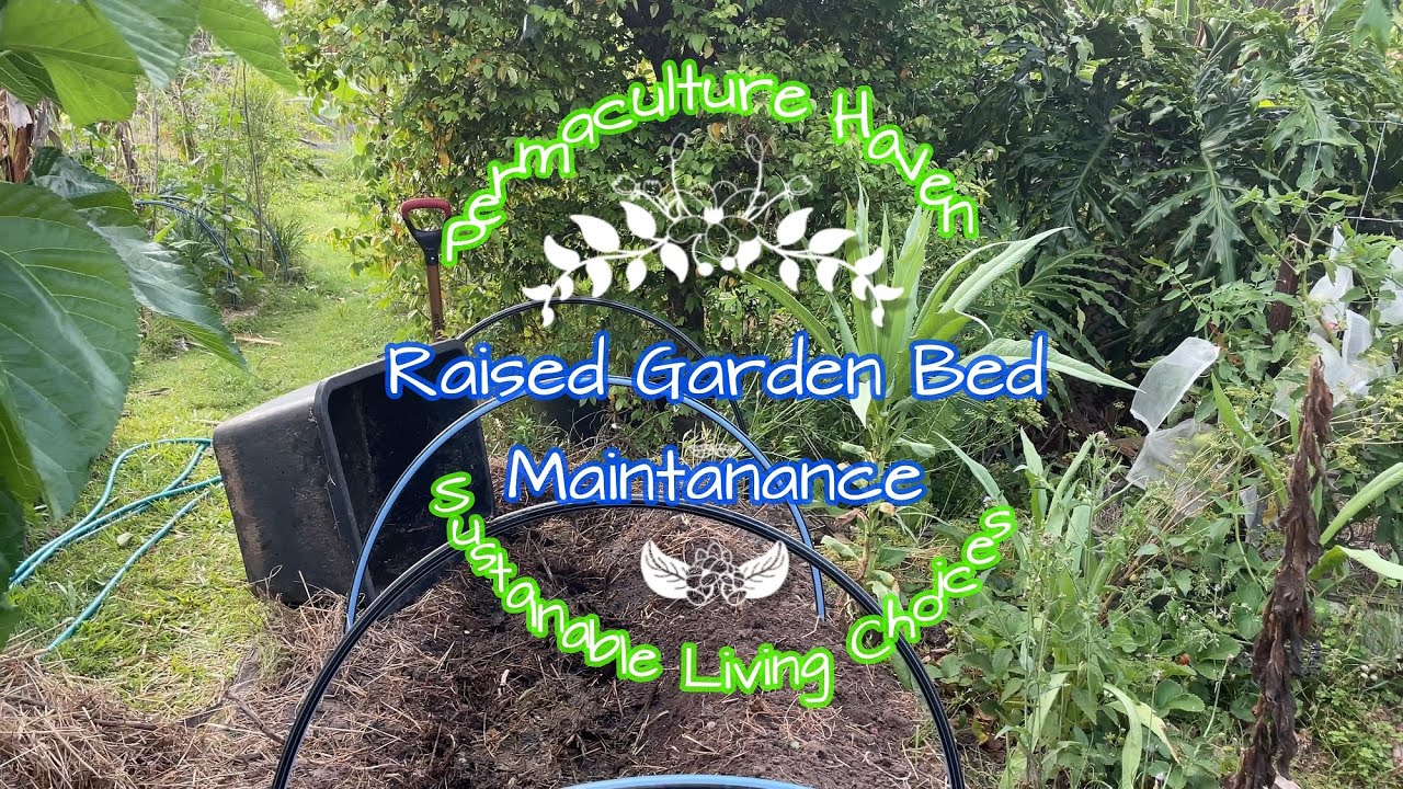 Make your Veggies Happy! Raised Garden Bed Maintenance at Permaculture
