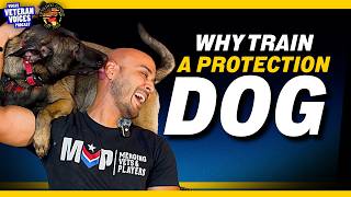 Why Protection Dogs Exist | Marine Dog Trainer Explains