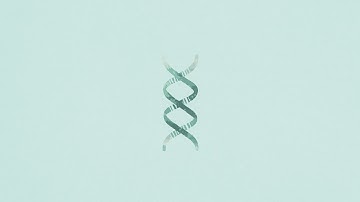 BOY LOCO - DNA (Official Audio)