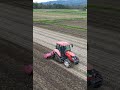 水田秋起こしショート #farming