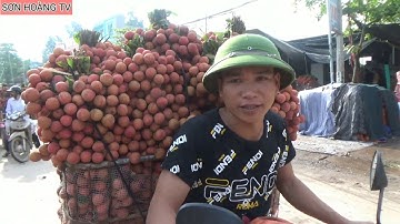 Cập nhật giá vải thiều lục ngạn 2/7/2020 tại ngã ba Tân Hoa ( Luc Ngan litchi II