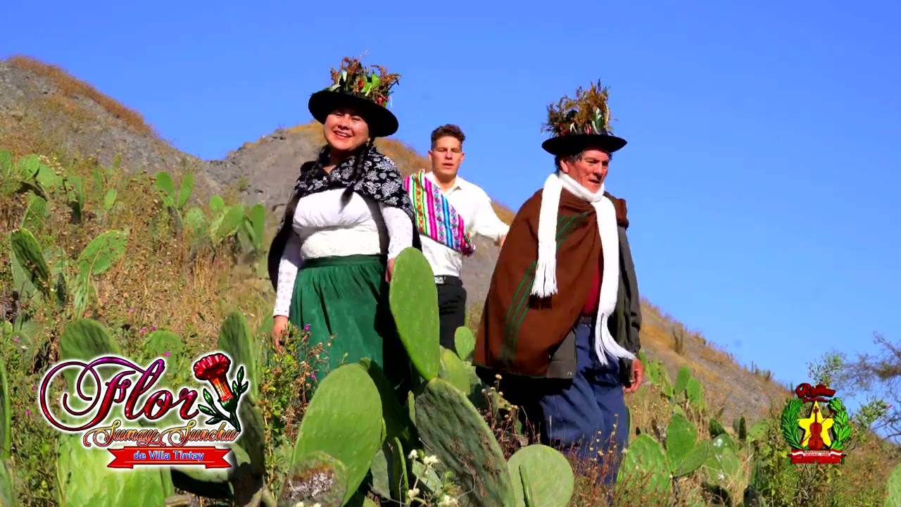 TEMA HUAYLLA ICHU CANTA -FLOR SUMAY SUNCHU DE VILLA TINTAY