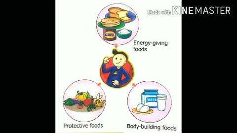 Class - V, Chapter - 5 Eating Right( Part -2) ,components of food