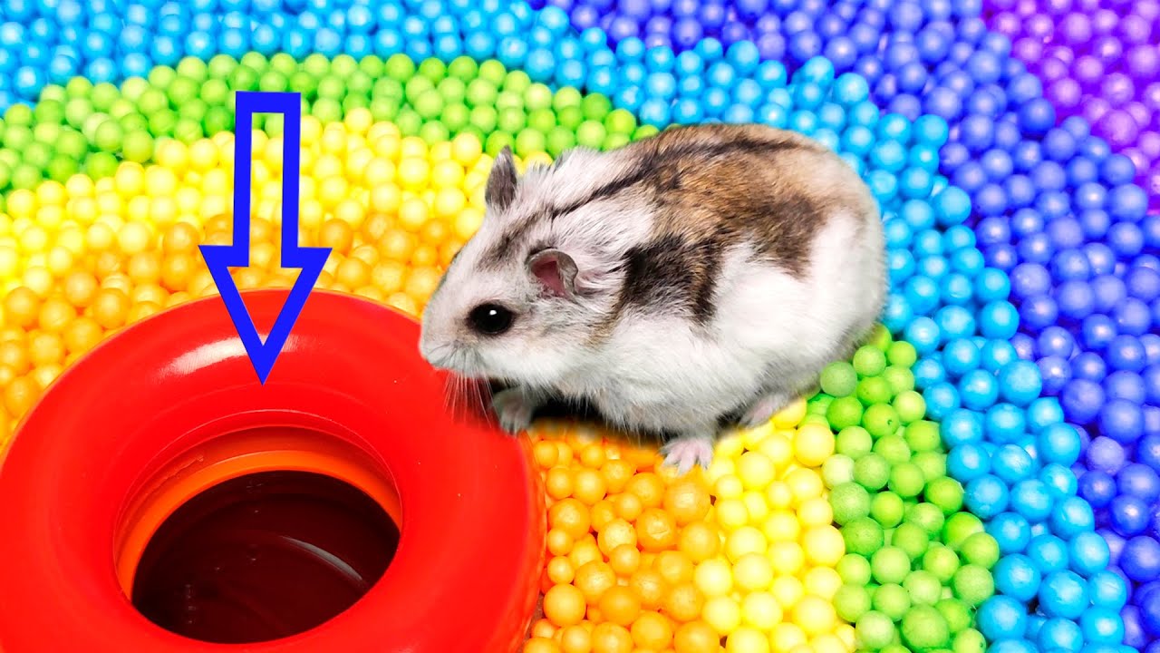 Latest Title & Thumbnail