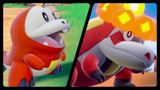 FUECOCO EVOLVED INTO CROCALOR (POKEMON SCARLET / VIOLET)