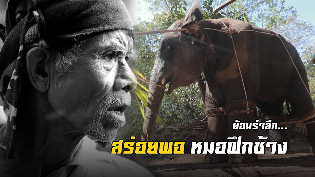 ย้อนรำลึก 