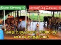 மாட்டுப்பண்ணையில் பாதி செலவை குறைக்கலாம் - An Eco Cow Farm by Couple