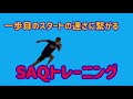 【SAQトレーニング】素早く動き出す為のアジリティトレーニング