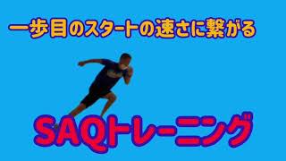 【SAQトレーニング】素早く動き出す為のアジリティトレーニング