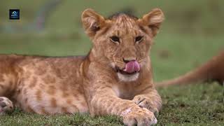 .غابات بيرو داخل أعقد غابة على الأرض