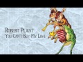 Robert Plant You Can T Buy My Love From Band Of Joy