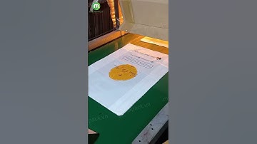 In túi hột xoài PE  #intheoyeucau #intuihotxoai #intuithoitrang #takemetoyourheart