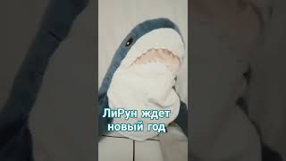 Лирун Ждёт Новый Год