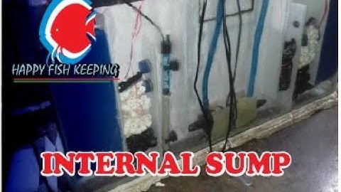 INTERNAL SUMP// INTEGRATED SUMP // CHEAPEST SUMP // sump filter for freshwater aquarium