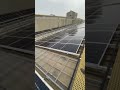 solar panel cleaning work#solarrepair
