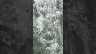 Without water, there is no life. #natureambient #ambientmusic #forestoforthanc #darkambient #relax
