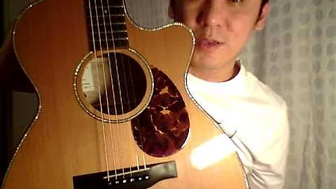 Eggle Linville Cutaway Quilted Maple Guitar Demo