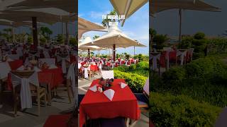 TUI MAGIC LIFE BELEK / TURKEY #shorts #restaurant #hotel #turkey #turkishnight