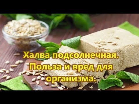 Халва подсолнечная.  Польза и вред халвы для организма
