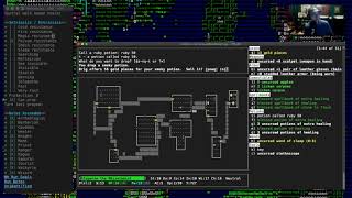 Details Part 1: NetHack 3.7.0 @ hardfought.org, neutral human healer (second attempt) Update