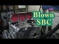 "Magnificent Noise."   Roots Blown 434 SBC from Nelson Racing Engines.  Blown Chevy.  Camaro