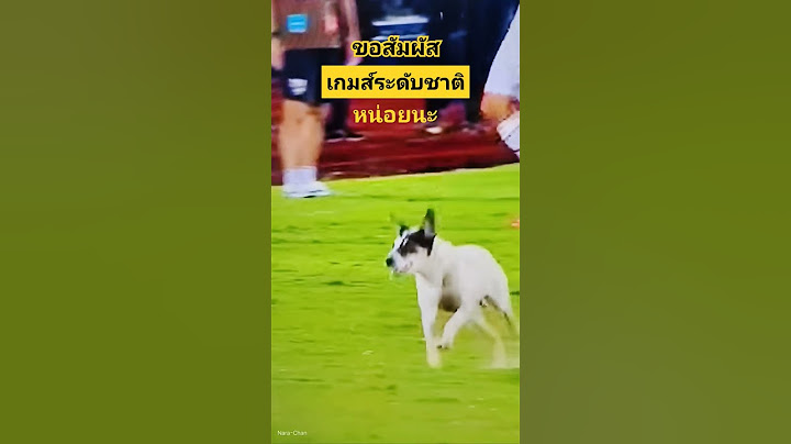 น้อนขอสัมผัสเกมส์ระดับชาติหน่อยนะ ทีมชาติไทย VS ฟิลิปปินส์ คิงส์คัพ 2024 [ นาราจัง ]