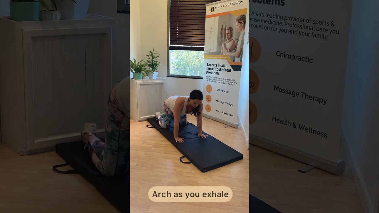 Pregnancy Exercises: Cat / Camel