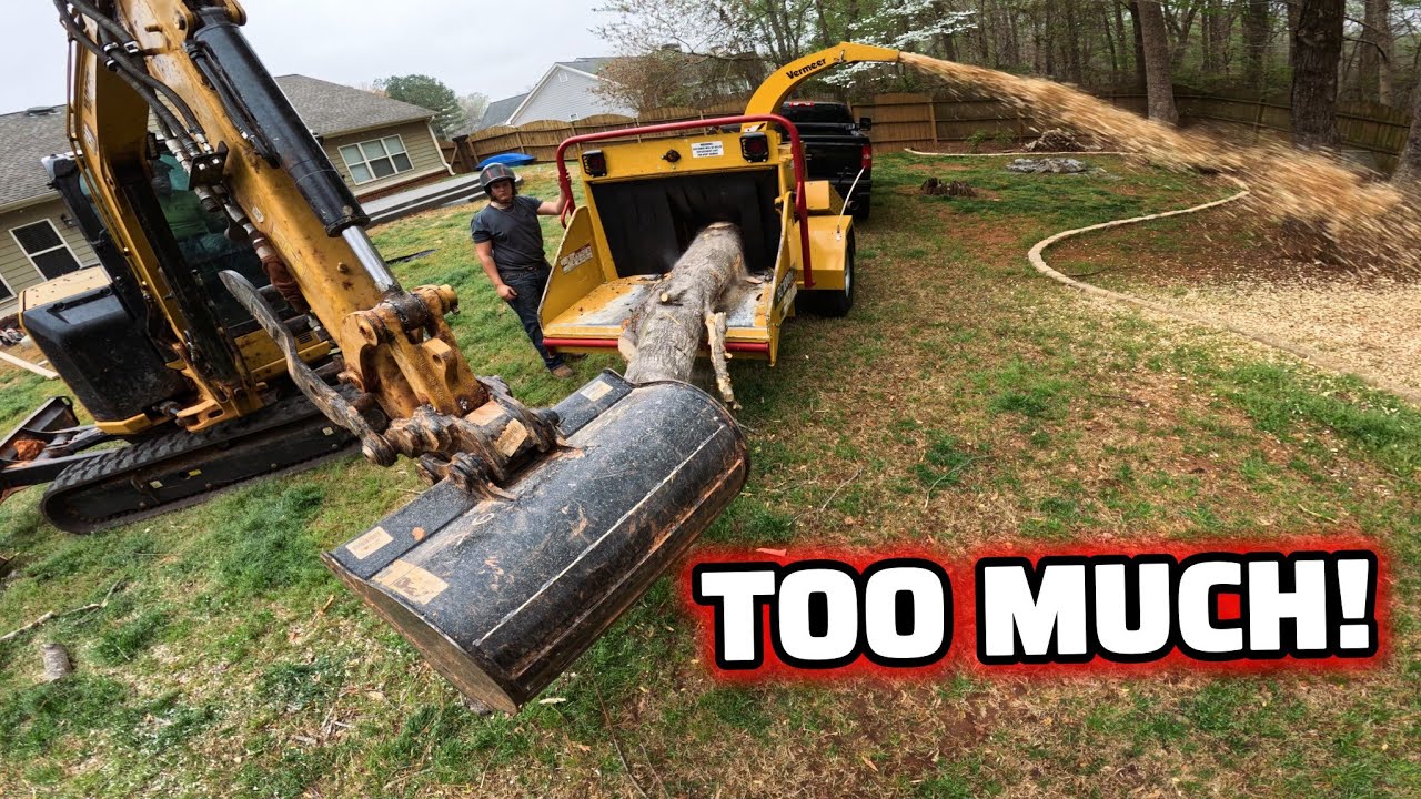 Day In The Tree Business! Hammer Likes Too Full Send Everything..