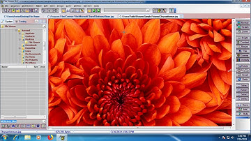 how to use file viewer express 11 6  File Viewer Lite for Windows   View over 150 File Types