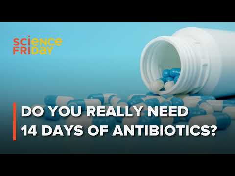 Is a shorter course of antibiotics OK? + Genetic risk of fibromyalgia