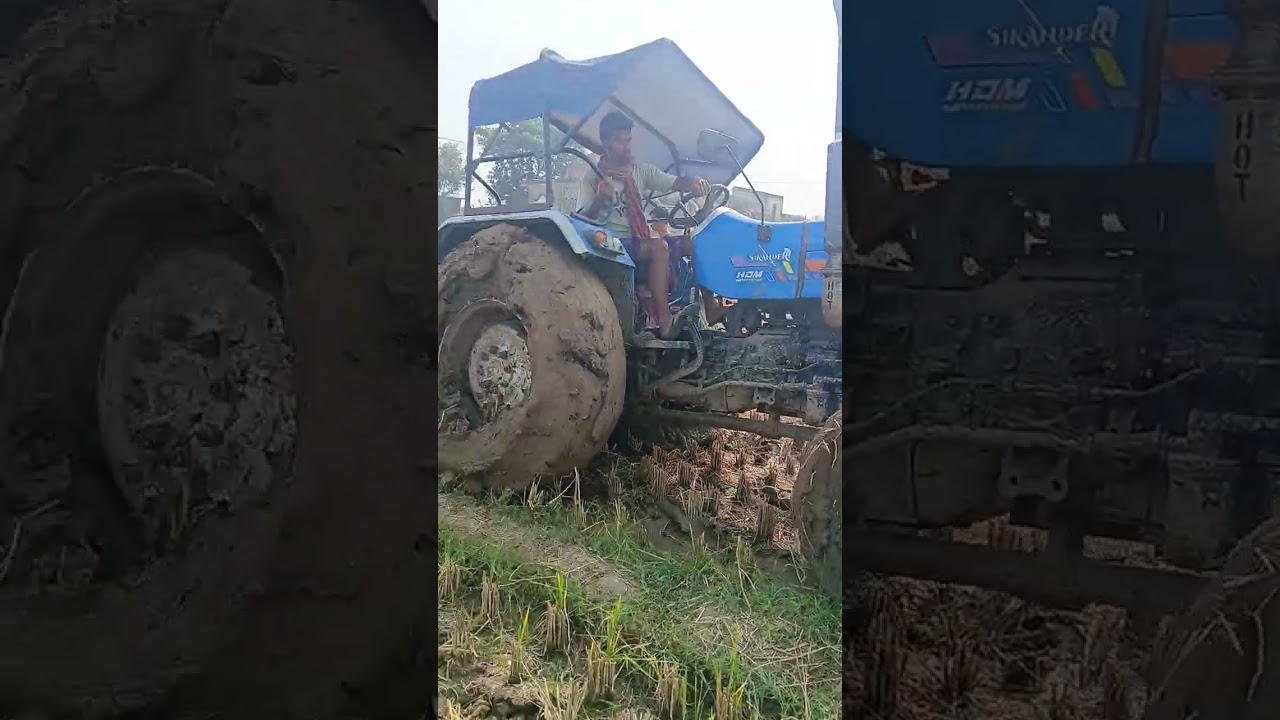 Sonalika Dl 50 সোনালিকা ডিয়ার ৫০  ট্রাক্টর খুব শাক্তিমান 👍💯💯👿👿👿💪💪😎