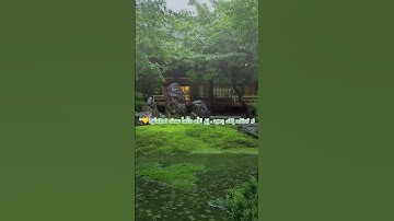 راحه نفسيه 🎧😴🕊️أجمل حالات واتس اب قرآن كريم بصوت جميل جدا تلاوه خاشعه 𝙌𝙪𝙧𝙖𝙣 𝙎𝙩𝙖𝙩𝙪𝙨❤️