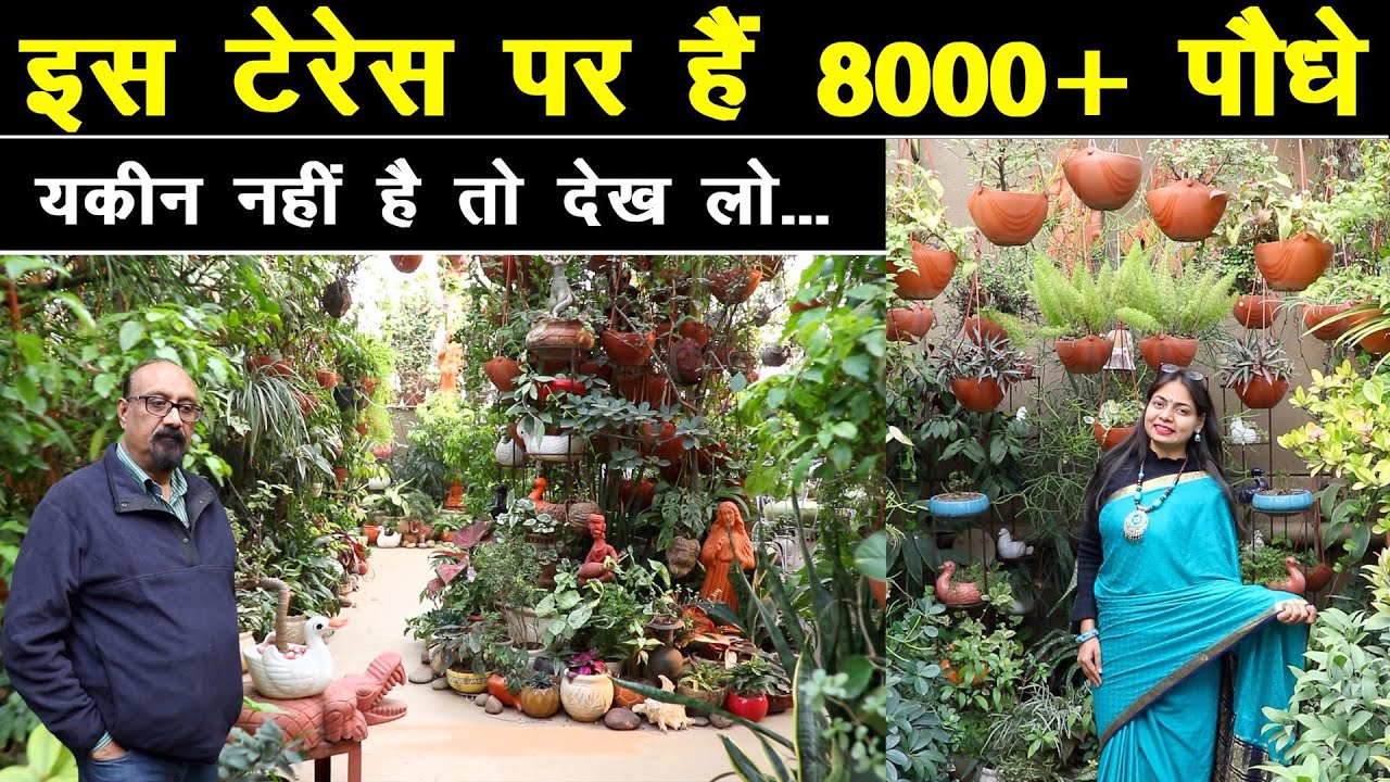 छत पर लगाये 8000+ प्लांट्स😍 पूरे देश में नहीं देखा होगा ऐसा Terrace Garden 🌳 Unique Farming
