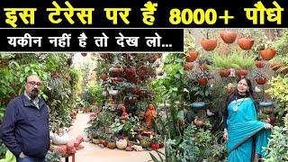 छत पर लगाये 8000+ प्लांट्स पूरे देश में नहीं देखा होगा ऐसा Terrace Garden  Unique Farming