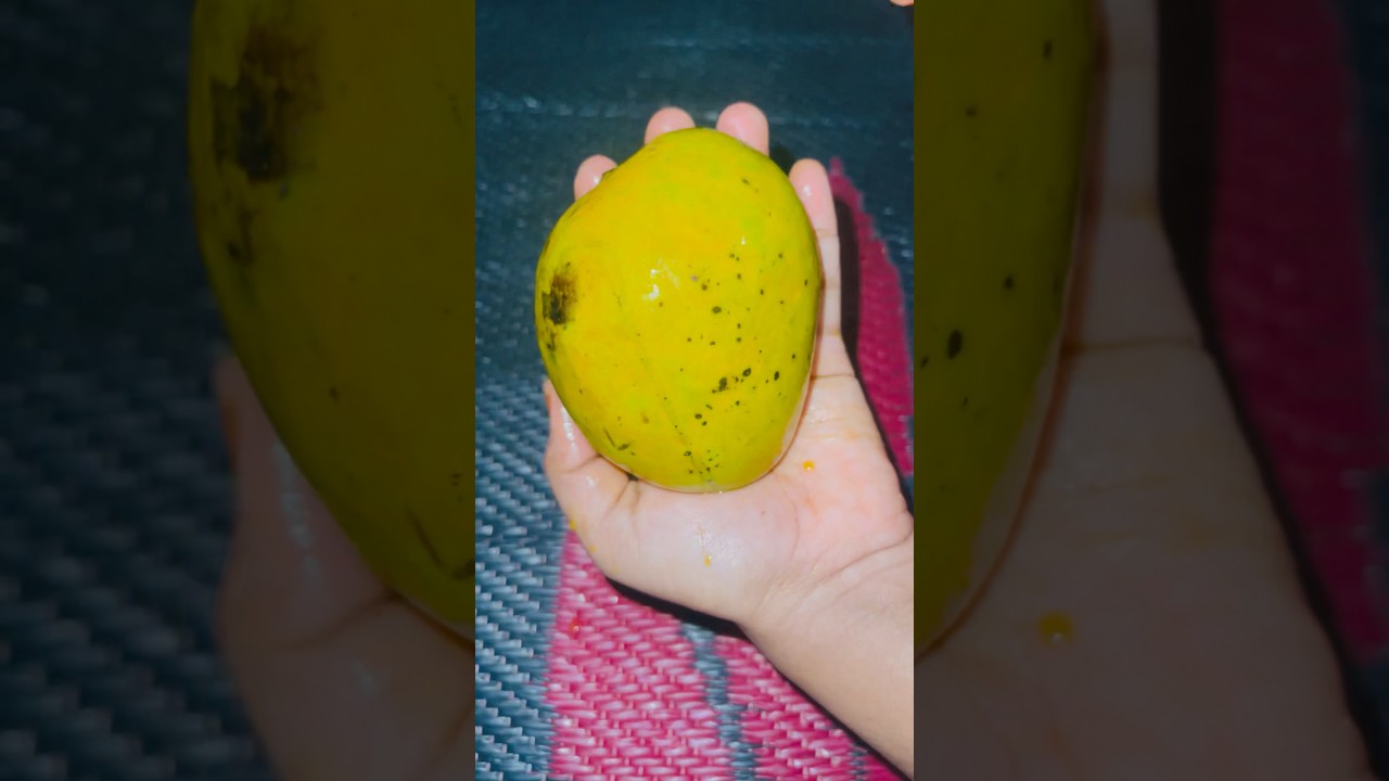 Mango 🥭 